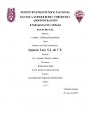 Primera actividad colaborativa: Juguetes Lucy S.A. de C.V.