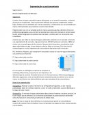 Carrefour analisis retail