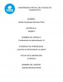 Jugueteria entre cuates-¿Que tipo de administración se usa?