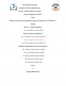 Plan para Incrementar la Exportación de piñas de la Empresa “ECUAPIÑASA” a Turquía