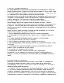 El papel de la psicología organizacional