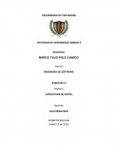 Actividad Estructura de Datos