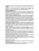 PRINCIPALES IMPACTOS CAUSADOS POR LA INDUSTRIA MINERA SELVA ALEGRE