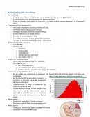 Fisiología Liquido Amniótico
