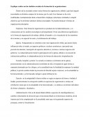 Ámbitos sociales de formación de organizaciones