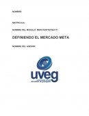 MERCADOTECNIA V1 DEFINIENDO EL MERCADO META 
