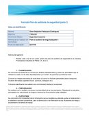 Plan de auditoria de seguridad . Procesadora Industrial de Pieles S.A