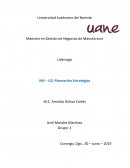 Gerencia: planeación estratégica