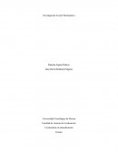 Investigación Acción Participativa