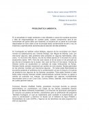 Altibajos de la escritura. PROBLEMÁTICA AMBIENTAL