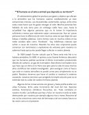 El humano es el único animal que depreda su territorio