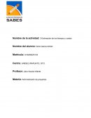 Estimación de los tiempos y costos