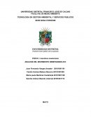 Análisis del movimiento semiparabolico
