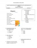 Evaluacion de castellano