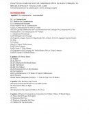 PRACTICAS COMUNICATIVAS CORPORALES EN EL BAILE URBANO: EL BREAK DANCE EN TUXTLA GTZ. CHIS