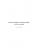 Gestión de la prevención de riesgos