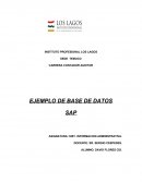 Ensayo Base de Datos SAP
