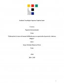 Elaboración de trozos de banano liofilizado para su exportación al puerto de Amberes, Bélgica