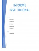 Informe Institucional