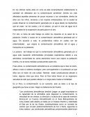CONTAMINACION PERÚ