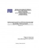 ANALISIS DE LAS VARIABLES QUE AFECTAN LA ESTRUCTURA DEL COLEGIO DON ROMULO GALLEGO
