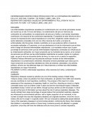 ENFERMEDADES RESPIRATORIAS PRODUCIDAS POR LA CONTAMINACIÓN AMBIENTAL