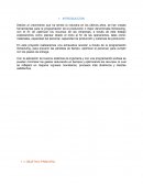 SCHEDULLING E INVENTARIOS