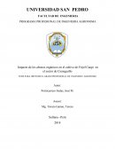 Impacto de los abonos orgánicos en el cultivo de Frijol Caupi en el sector de Cieneguillo