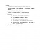 Comentario personal sobre la obra vista Don quijote