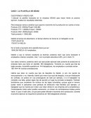 CASO 1: LA PLANTILLA DE SESAS