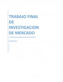 TRABAJO FINAL INVESTIGACION DE MERCADOS