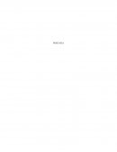 Organización Boko Haram