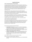 Seguridad alimentaria. ¿Qué es la Seguridad Alimentaria y Nutricional (SAN)?