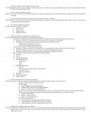 ¿Cuál es el concepto de empresas según Guzmán Valdivia?