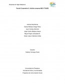 ANALISIS ORGANIZACIONAL DE LA AGENCIA DE VIAJES MELYTOURS