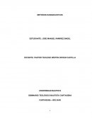 METODOS EVANGELISTICOS