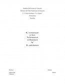 Comercio Venezolano y Latinoamericano