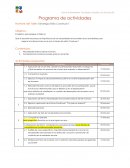 PROGRAMA DE ACTIVIDADES Estrategia Estilo Construye T