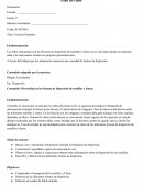 Plan de clase Plantas