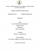 PLANTEAMIENTO DEL PROBLEMA, JUSTIFICACIÓN, OBJETIVOS E IDEA A DEFENDER