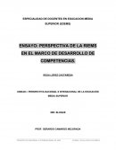 PERSPECTIVA DE LA RIEMS