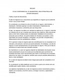 MARKETING PLAN DE NEGOCIO
