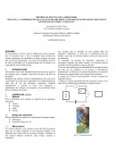 PRACTICA 1. COMPROBACION DE LAS LEYES DE KIRCHHOF