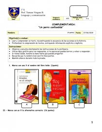 PRUEBA DE LECTURA COMPLEMENTARIA: “Un perro confundido”. Página 1