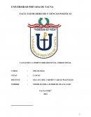 MONOGRAFIA DE LA INIMPUTABILIDAD EN EL PERU