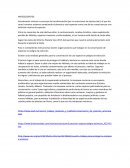 Analisis de la obra de Silvia Bleichmar