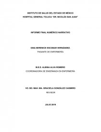 INFORME FINAL NUMÉRICO NARRATIVO. Página 1