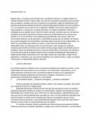 Ensayo Mi ambito laboral