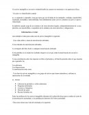 Activo intangible es un activo inidentificable de caracter no monetario y sin apariencia física