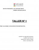 FLUJOGRAMA Y APLICACION DE ETAPAS METODO PHVA